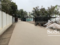 Bán Đất Tặng Nhà, 101M2 Tại Tráng Việt, Ô Tô Trước Đất