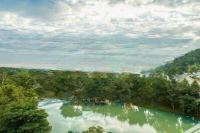 Biệt Thự Đơn Lập Xanh Villas Đối Diện Công Viên Clup House, Diện Tích 482M2 Full Giá Bán 20,86 Tỷ