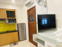 Chính Chủ Cho Thuê Chdv Studio Full Ntcc Tại 135/32 Nguyễn Cửu Vân, P17, Bt Hẻm Xe Tải Giáp Q1