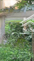 Bán Đất Tại Xã Yên Sở - Hoài Đức, Hà Nội - Nhỉnh 3 Tỷ - 85.9M2 Liên Hệ: 0984299511