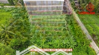 Đất Ngô Thi Sĩ, Phường An Bình, Lộ 3M Ô Tô Tới Đất, 17X48M, Thổ Cư, Sổ Hồng, Thích Hợp Làm Nhà Vườn