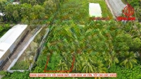 Đất Ngô Thi Sĩ, Phường An Bình, Lộ 3M Ô Tô Tới Đất, 17X48M, Thổ Cư, Sổ Hồng, Thích Hợp Làm Nhà Vườn