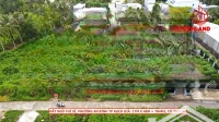 Đất Ngô Thi Sĩ, Phường An Bình, Lộ 3M Ô Tô Tới Đất, 17X48M, Thổ Cư, Sổ Hồng, Thích Hợp Làm Nhà Vườn