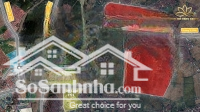 Chính Chủ Tôi Bán Lo24 Đường Thông Tại Vườn Sen Từ Sơn. Liên Hệ: 0326569236