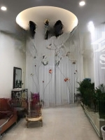 Nhà Đẹp, Trung Tâm, Lý Tưởng Mát, Vườn Sân Thượng, Sân Trước Sân Sau Cáchmặt Tiền20M Không Có Căn Thứ 2