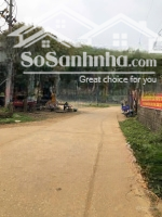 Bán Đất 535M2 Tại Yên Bài, Ba Vì, Hà Nội, Giá Siêu Hời 3,5 Tỷ. 0963699191