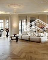 Căn Hộ Tsq Mỗ Lao Full Ban Công Cả 4 Phòng Ngủ, Diện Tích 225M. Ban Công Đn Mát Mẻ. Sẵn Sổ