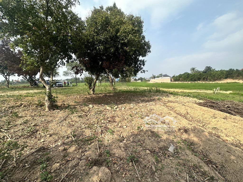 Bán Đất 2900M2 Tại Bắc Sơn, Sóc Sơn, Hà Nội, 8,65 Tỷ