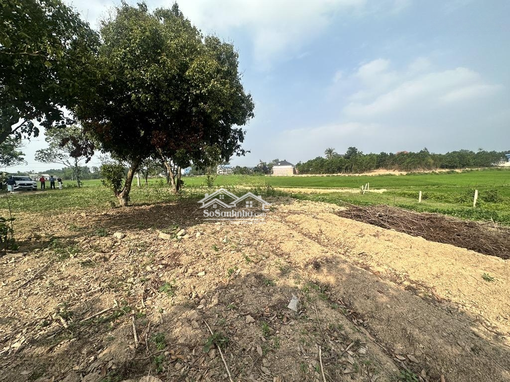 Bán Đất 2900M2 Tại Bắc Sơn, Sóc Sơn, Hà Nội, 8,65 Tỷ
