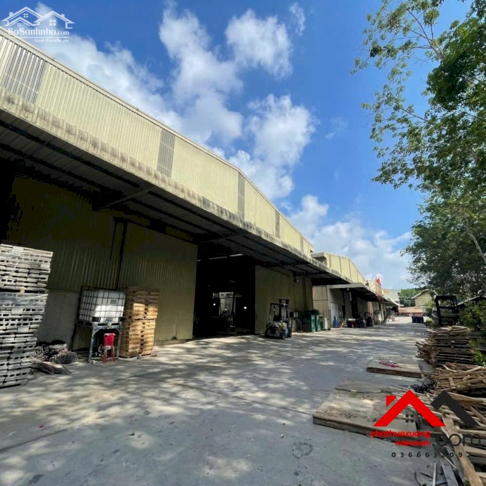 Cho thuê xưởng 5.500m² tại Dầu Tiếng – Khuôn viên 10.000m², PCCC đầy đủ, giá chỉ 2.1 USD/m². Liên hệ: Chothuexuongmiennam.com - 0366632092