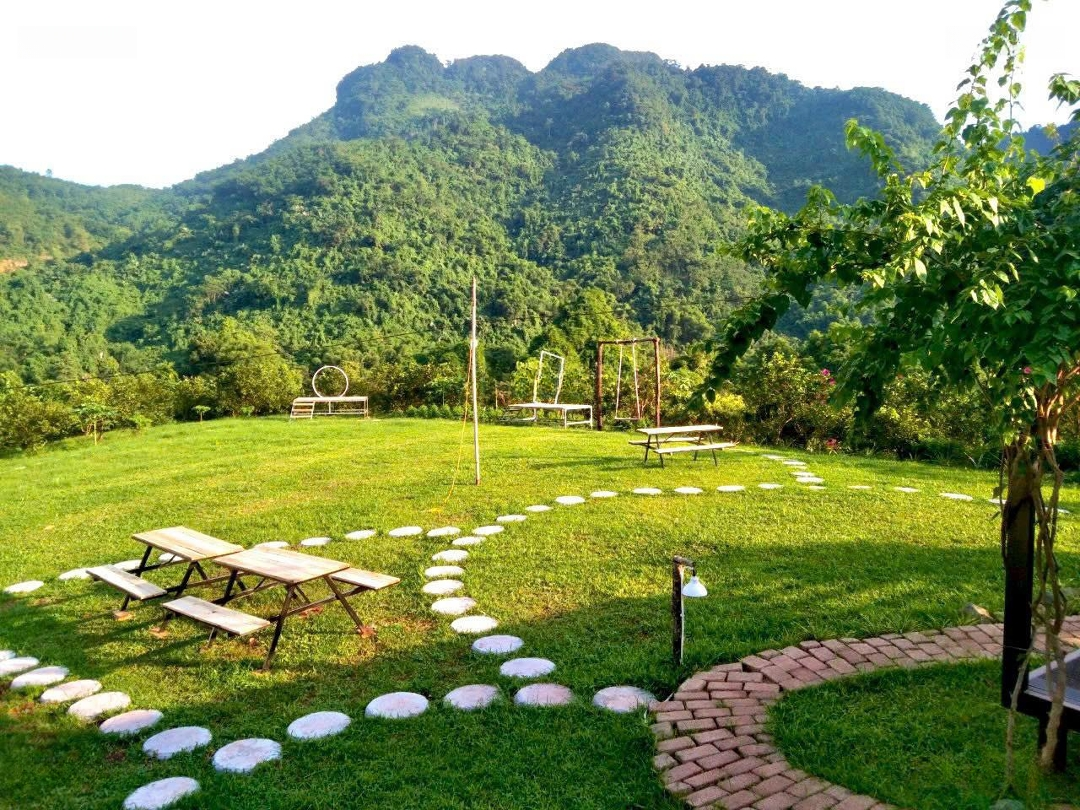 Bán Đất 20.000M² Khu Du Lịch Sinh Thái Đồi Cam Hữu Cơ Đầu Tư Lý Tưởng Cho Du Lịch Tổng Hợp