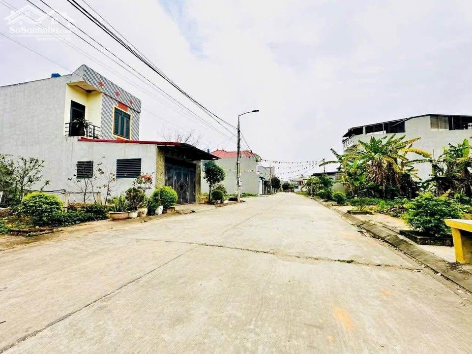 Bán đất phân lô tại Kim Long, Tam Dương, Vĩnh Phúc. Giá chỉ 1.78 tỷ 115m2