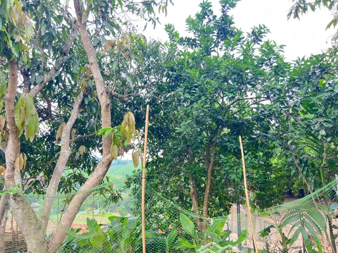 Thạch Yên , Cao Phong 3336M2 Có 400M2 Tc Mảnh Giá Rẻ Còn Sót Lại