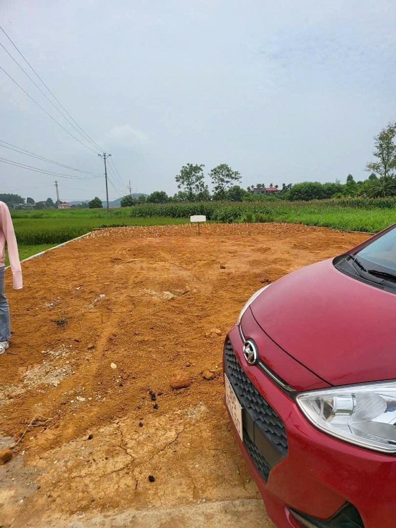 Chính Chủ Gả Bándiện Tích244M, Full Thổ Cư,Mặt Tiềntận 12M Nở Hậu Tại Phú Thọ. Liên Hệ: 0979534028