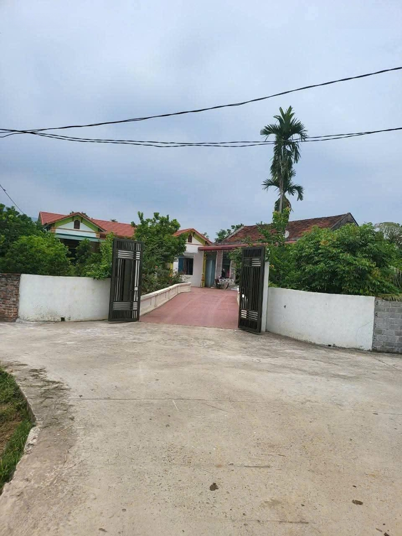 Chính Chủ Gả Bándiện Tích244M, Full Thổ Cư,Mặt Tiềntận 12M Nở Hậu Tại Phú Thọ. Liên Hệ: 0979534028