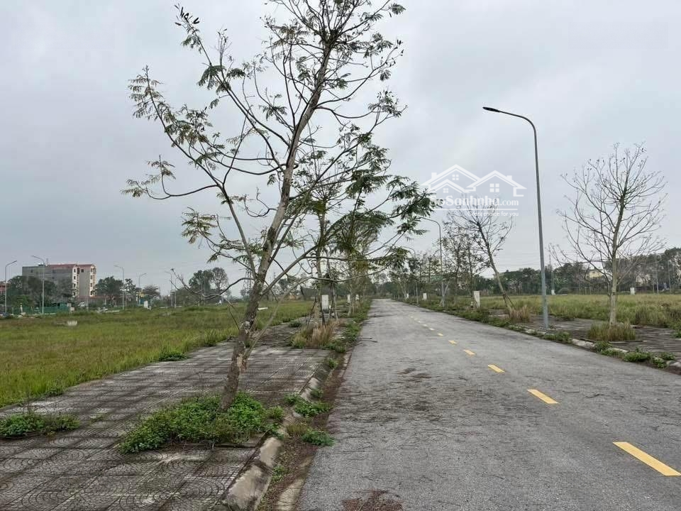 Đón Sóng Thi Công Đường Sân Bay Gia Bình Hà Nội.
Em Có 1 Lô Đất Dự Án Đầm Dê Đẹp Ko Lỗi Gì.