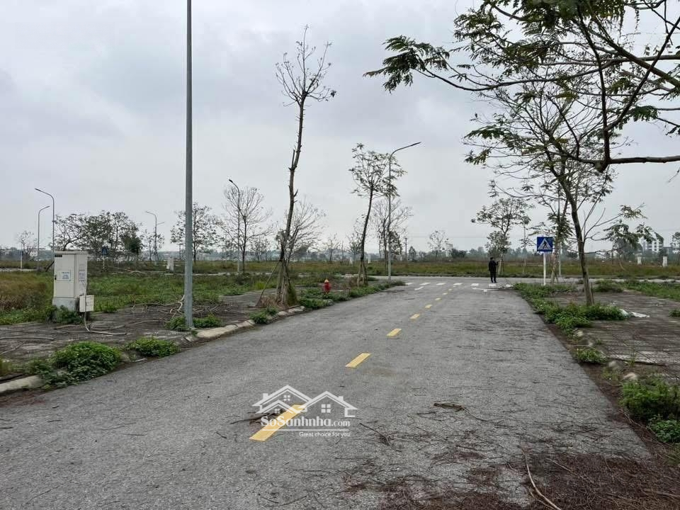 Đón Sóng Thi Công Đường Sân Bay Gia Bình Hà Nội.
Em Có 1 Lô Đất Dự Án Đầm Dê Đẹp Ko Lỗi Gì.