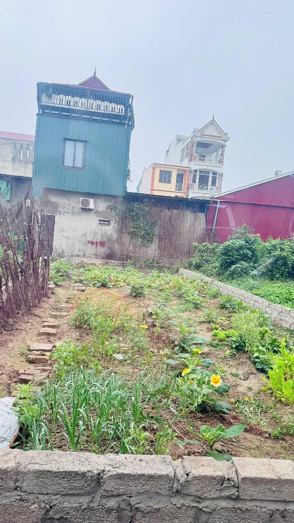 Bán Đất Tại Khu Nam Sơn, Phúc Thọ, Giá Thỏa Thuận, 93.5M2, Mặt Tiền 5.5M