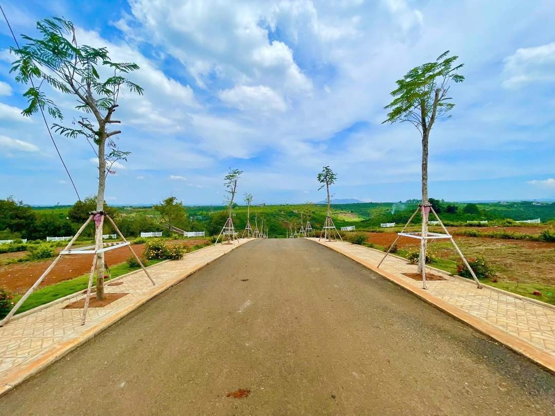 Lô Đất Nghỉ Dưỡng Siêu Hot Tại Di Linh Vị Trí Vàng, Sổ Hồng Riêng, Giá Chưa Đến 1 Tỷ!