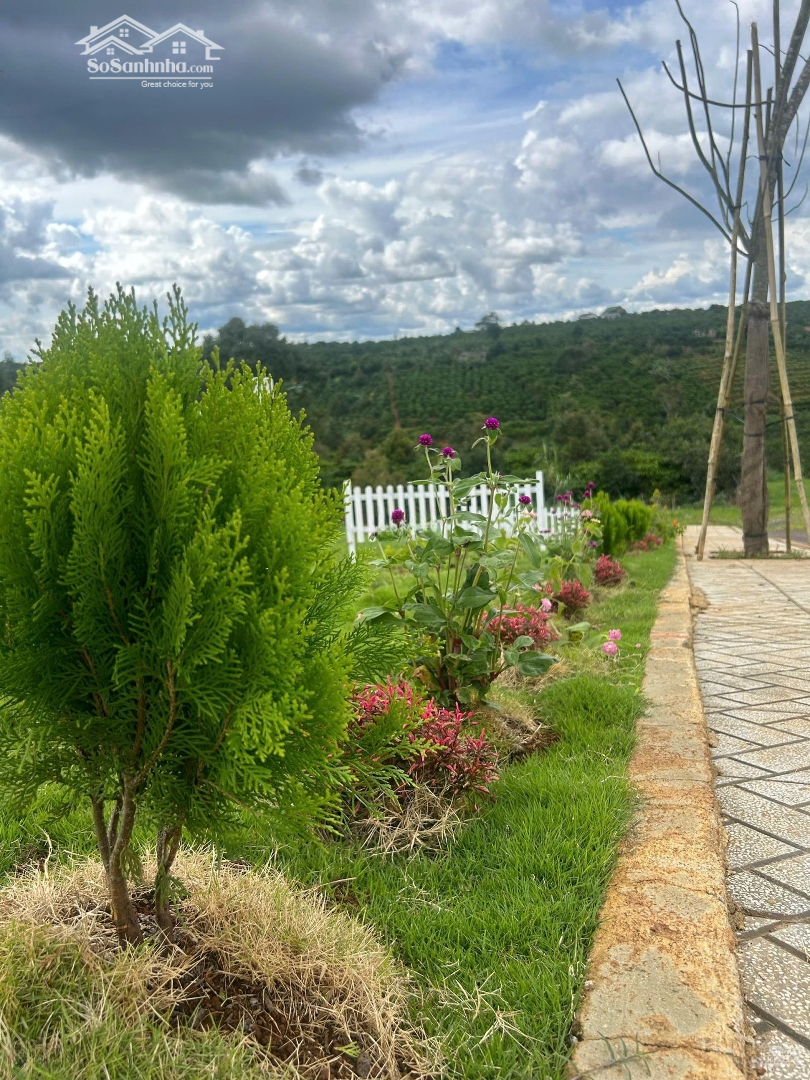 Lô Đất Nghỉ Dưỡng Siêu Hot Tại Di Linh Vị Trí Vàng, Sổ Hồng Riêng, Giá Chưa Đến 1 Tỷ!