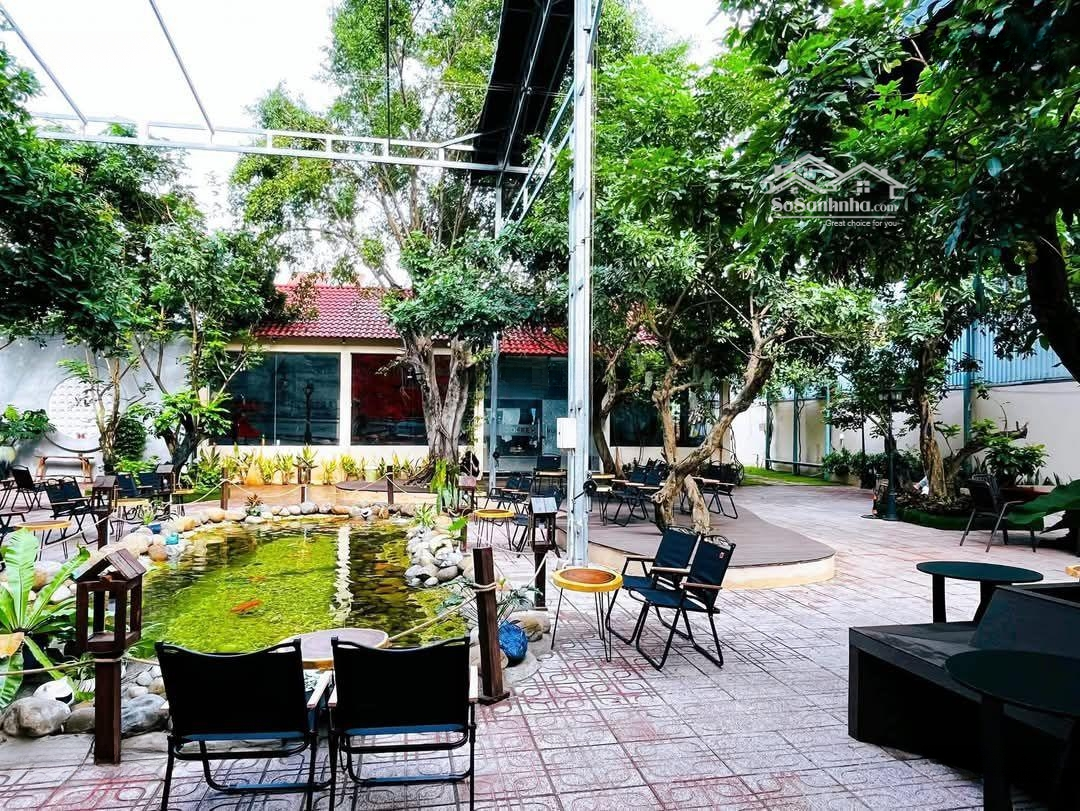 Cho Thuê Quán Cafe 1500M2 Tại Phú Hoà Thủ Dầu Một Bình Dương