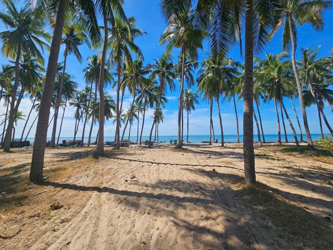 Tuyển Chọn Những Lô Đất Đẹp Đường Nguyễn Cơ Trạch, Mũi Né