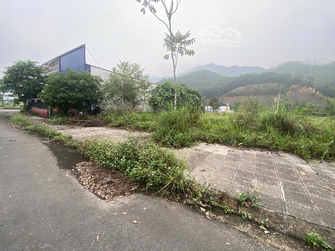 Cơ Hội Đầu Tư Vàng Tại Bến Sơn Yên Lập Phú Thọ 200M2 X 10M Chỉ 6.6 Tỷ