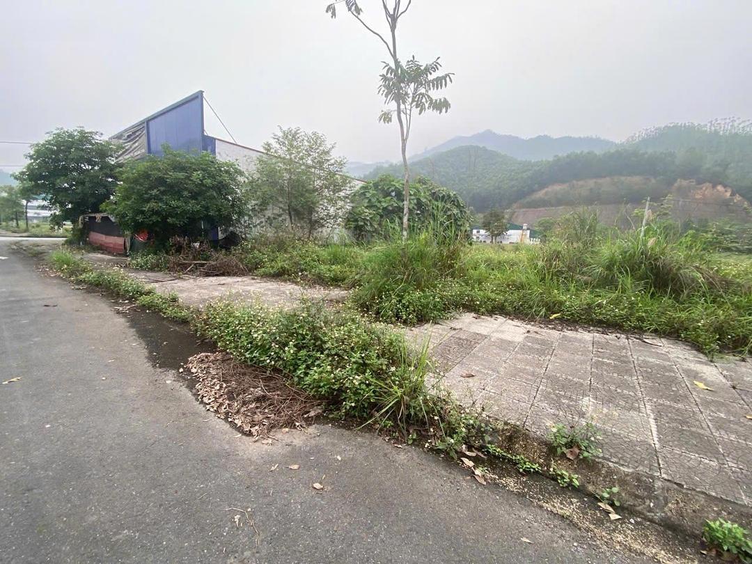 Cơ Hội Đầu Tư Vàng Tại Bến Sơn Yên Lập Phú Thọ 200M2 X 10M Chỉ 6.6 Tỷ