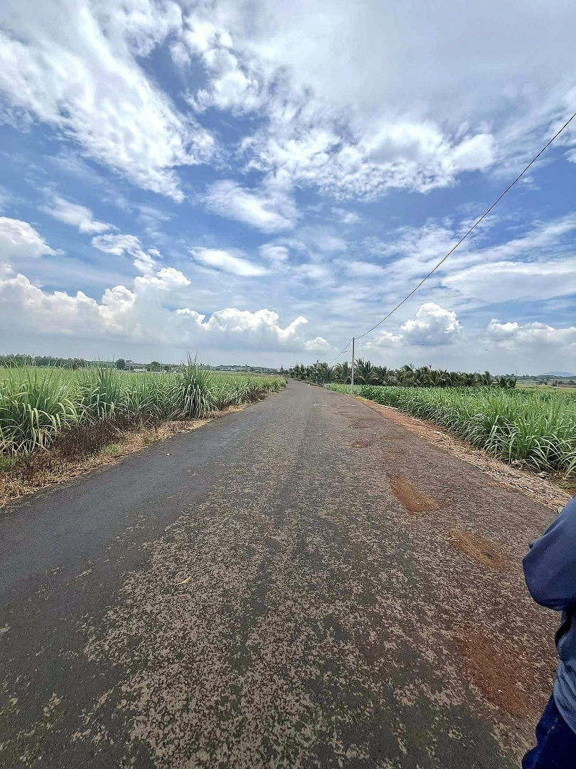 Bán Đất Sào 1000M2, Ngang 13.8M Mặt Tiền Đường Nhựa, Xã Hưng Thịnh