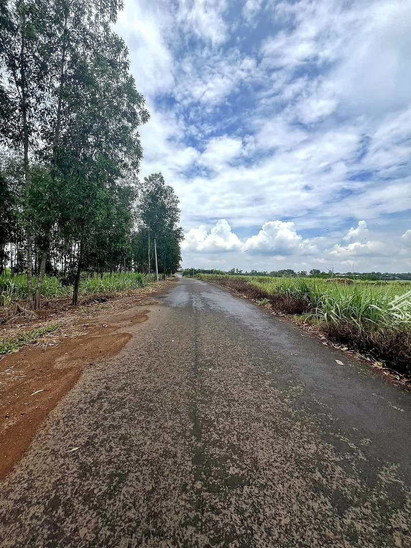 Bán Đất Sào 1000M2, Ngang 13.8M Mặt Tiền Đường Nhựa, Xã Hưng Thịnh
