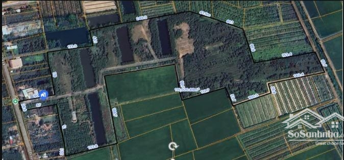 Bán Đất Tại Đt 839, Bình Thành, Đức Huệ, Long An, 50 Tỷ, 115020 M2, View Đẹp, Uy Tín