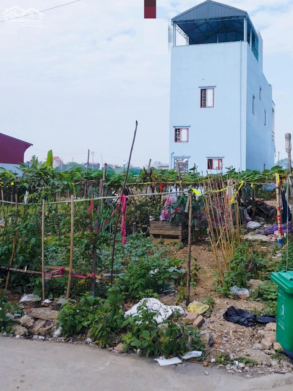 Rẻ. Đất Đ.Giá Đồng Soi Phú Túc-làng nghề giàu có cách Cienco5 0.5km,full tiện ích