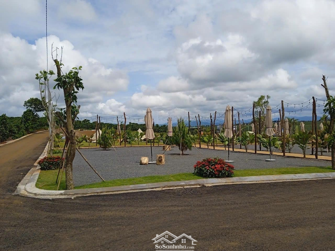 Bán Đất Nền Tại Xã Lộc Quảng, Bảo Lâm, Lâm Đồng, 1,35 Tỷ, 200M2 Hàng Hiếm Giá Tốt