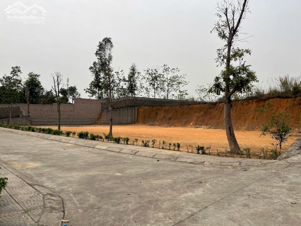  Sở hữu siêu phẩm đất nền sinh lời cao chỉ với 6xxtr tại Quảng Ninh