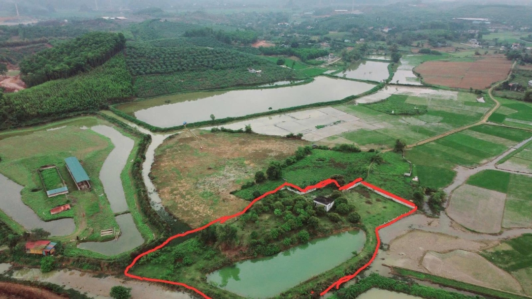 View Cực Phẩm, Đất Bám Suối, Có Ao Có Nhà, Sẵn Nhiều Cây Ăn Quả Và Cây Bóng Mát Lâu Năm
