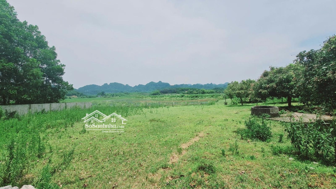 View Cực Phẩm, Đất Bám Suối, Có Ao Có Nhà, Sẵn Nhiều Cây Ăn Quả Và Cây Bóng Mát Lâu Năm