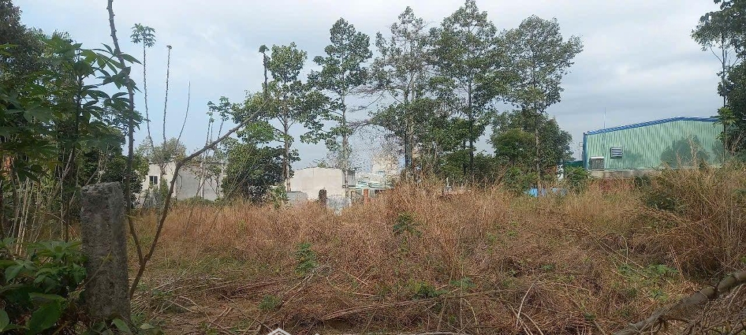 Bán Mảnh Đất 2220M2 (2,2 Sào) Sổ Riêng, Thiện Tân Cũ, P.trảng Dài, Biên Hòa, Đồng Nai, Giá Bán 8,9 Tỷ