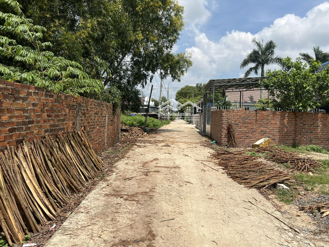 Chính Chủ Cho Thuê Đất Tại Tân Thành, Phú Mỹ, Vũng Tàu - Giá Thương Lượng - Phù Hợp Làm Kho Xưởng