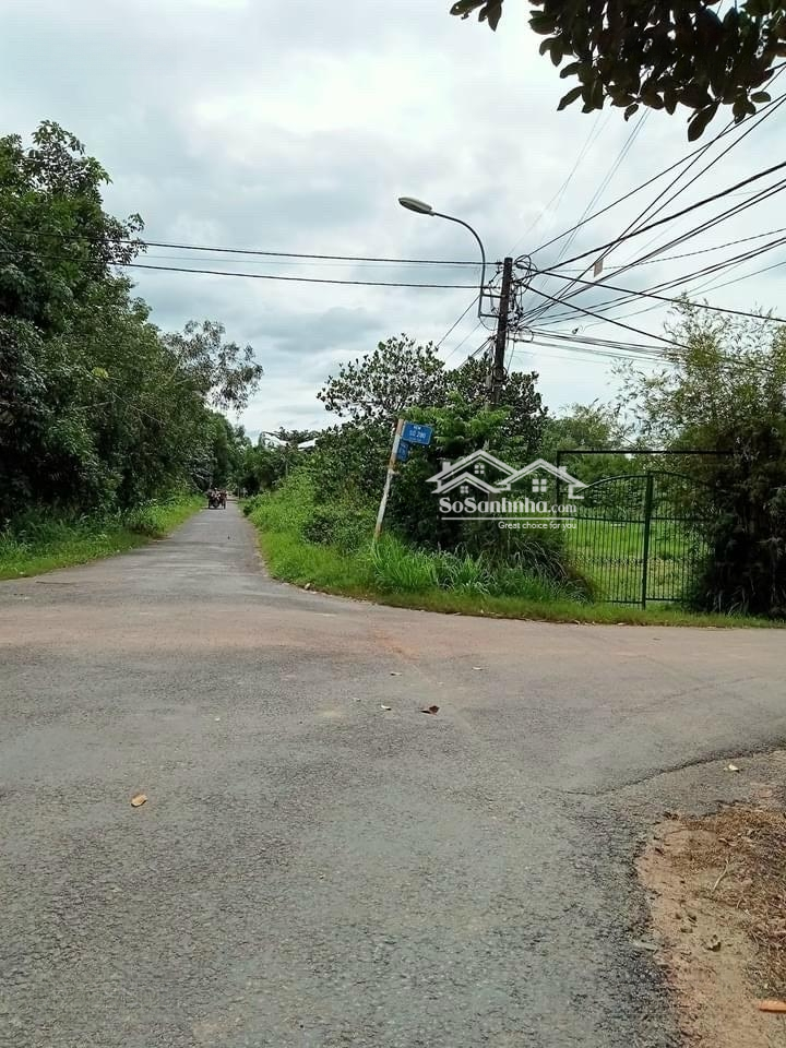 Ngộp Hạ Giá Bán Đấtmặt Tiềnphạm Văn Cội Nối Dài Kdc Hiện Hữu, Có 1052M2 Thổ Cư