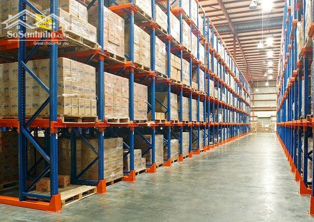 Cho thuê kho có xử lý mối mọt – Lái Thiêu, Bình Dương