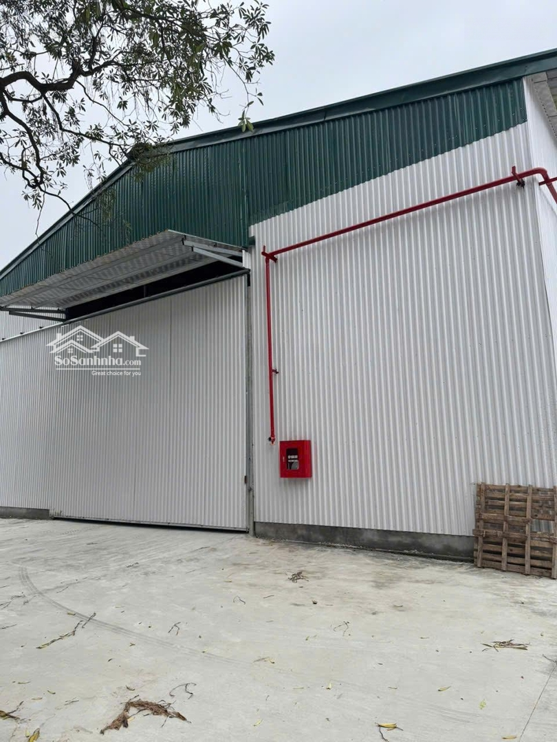 Chính Chủ Cho Thuê Nhà Xưởng Ngã Tư Sơn Đồng ,Hoài Đức.dt 500 Đến 1200M2.Giá 65 Ngàn/M2.Xuất Vat