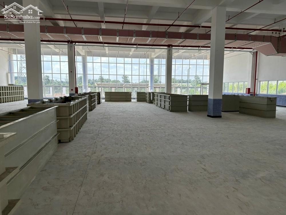 *Cho thuê kho xưởng*6000m2 KCN An Phước, Long Thành, Đồng Nai