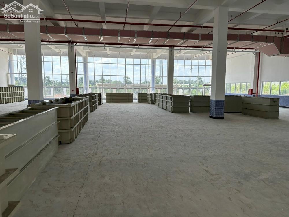 *Cho thuê kho xưởng*6000m2 KCN An Phước, Long Thành, Đồng Nai