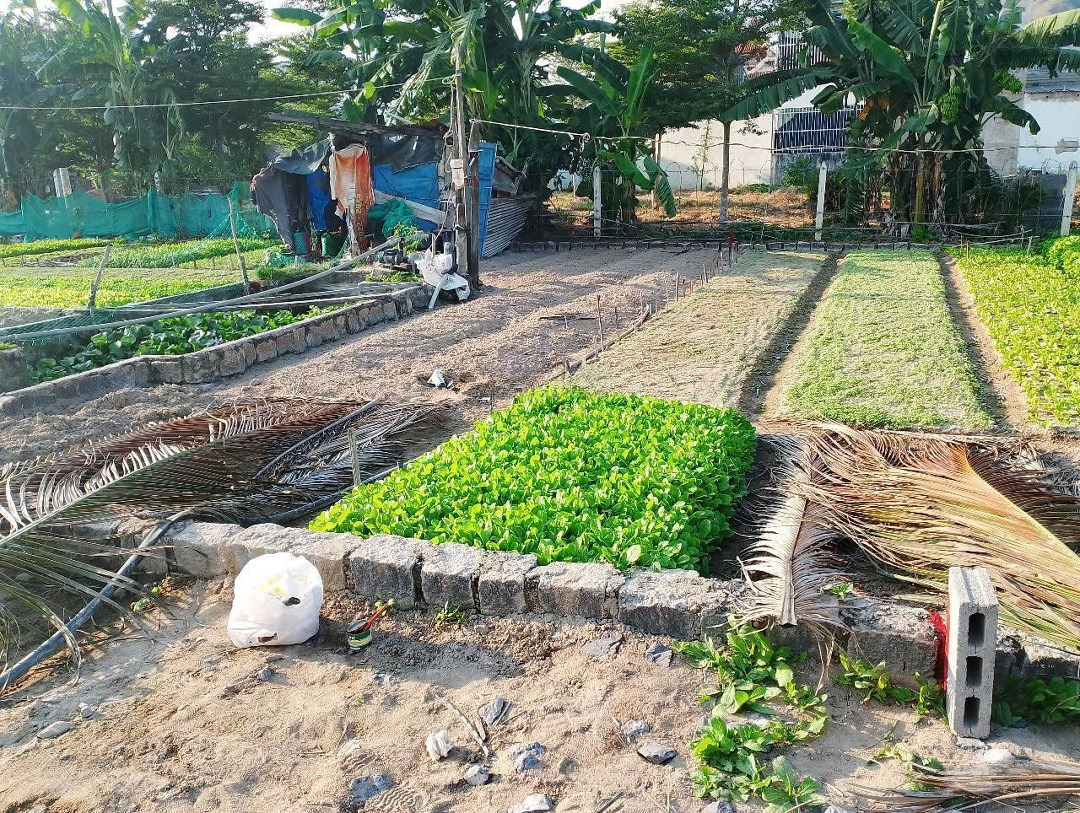 Bán 2 Lô Đất Liền Kề Đường Đào Văn Tiến Gần Chợ Vĩnh Hải Nha Trang