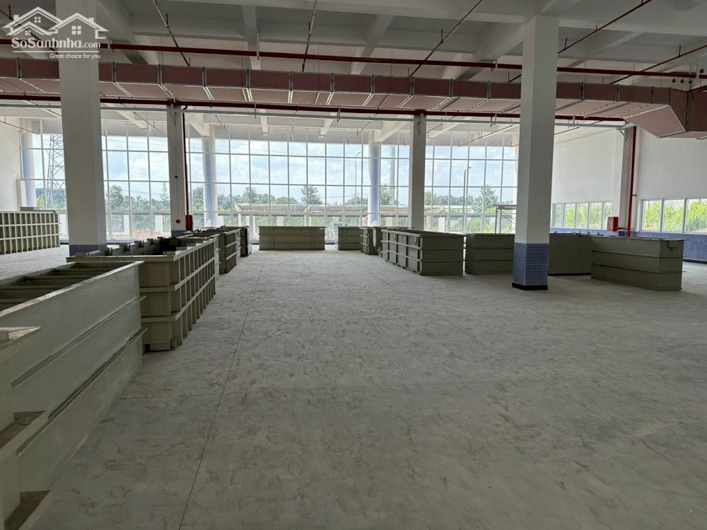 *Cho thuê kho xưởng*6000m2 KCN An Phước, Long Thành, Đồng Nai