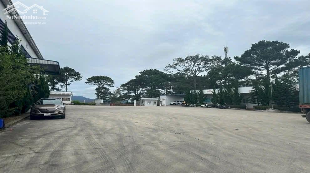Cho thuê kho 4422m2 (TDT 12.000) TP Đà Lạt