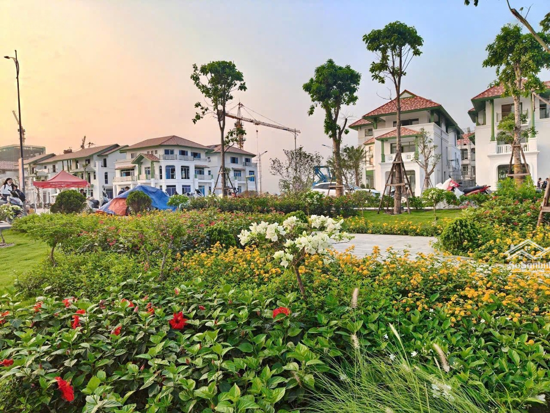 Bán Suất Cặp Liền Kề C5 Siêu Đẹp Trực Diện Vườn Thực Vật Sun Hà Nam Nhận Chiết Khấu Cao Tới 17,5%