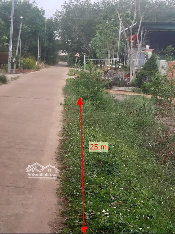 Bán Đất Thổ Cư Nở Hậu, Vị Trí Tại Khu Dân Cư Sầm Uất Chợ Suối Dây