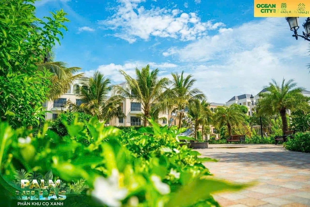 Bán Gấp Shophouse Xẻ Khe 98M Mặt Tiền 7M Hướng Đông Nam Giá Rẻ Nhất Thị Trường 10.5 Tỷ