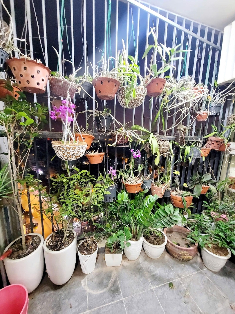 Bán Căn Hộ Chung Cư 3 Phòng Ngủ 2 Vệ Sinh 95M2 Tại Văn Phúc, Hà Đông, Hà Nội Chỉ Với Giá Cực Chất 5,7 Triệu Vnd